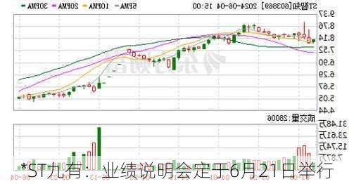 *ST九有：业绩说明会定于6月21日举行