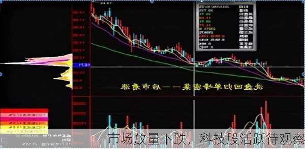 市场放量下跌，科技股活跃待观察