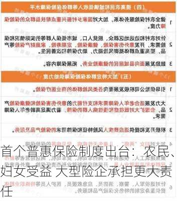 首个普惠保险制度出台：农民、妇女受益 大型险企承担更大责任