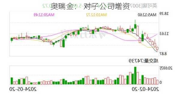 奥瑞金： 对子公司增资