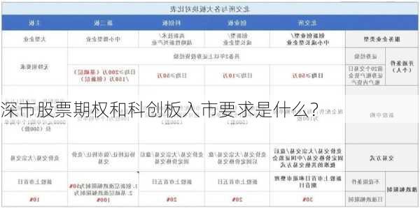 深市股票期权和科创板入市要求是什么？