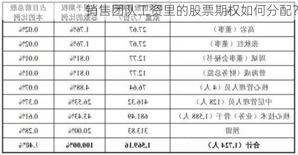 销售团队工资里的股票期权如何分配？