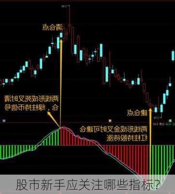 股市新手应关注哪些指标？