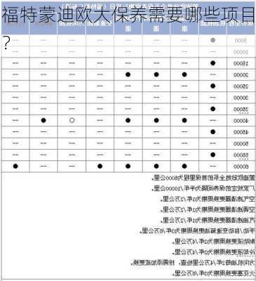 福特蒙迪欧大保养需要哪些项目？