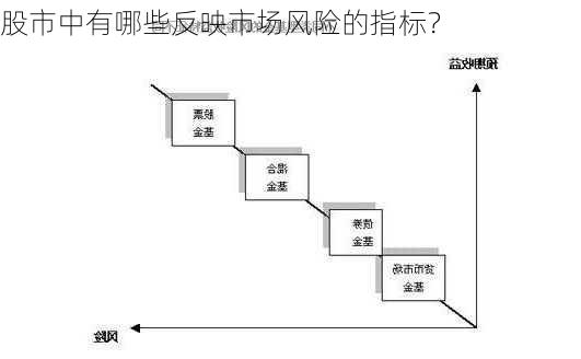 股市中有哪些反映市场风险的指标？