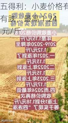 五得利：小麦价格有涨有跌，最高 1.24 元/斤