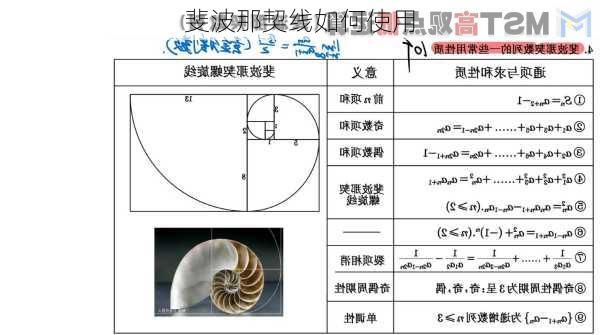 斐波那契线如何使用