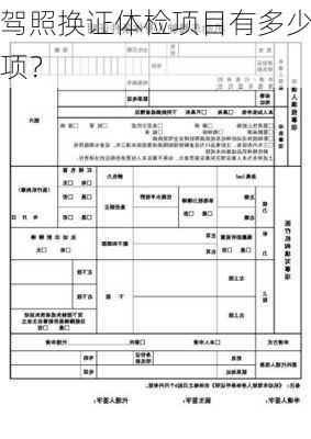 驾照换证体检项目有多少项？