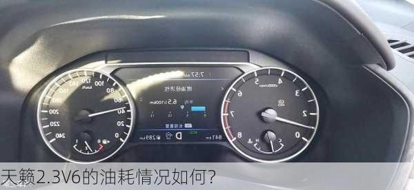 天籁2.3V6的油耗情况如何？