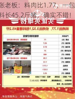 张老板：料肉比1.77，一包料长45.2斤猪，确实不错！