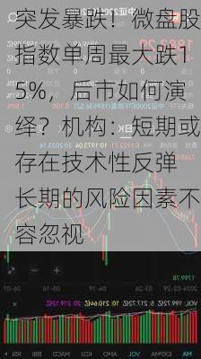 突发暴跌！微盘股指数单周最大跌15%，后市如何演绎？机构：短期或存在技术性反弹 长期的风险因素不容忽视