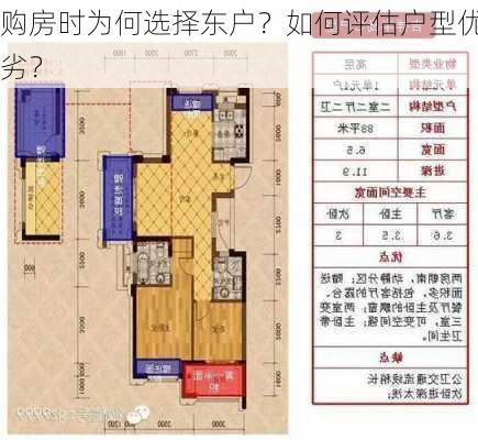 购房时为何选择东户？如何评估户型优劣？