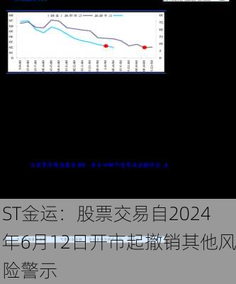 ST金运：股票交易自2024年6月12日开市起撤销其他风险警示