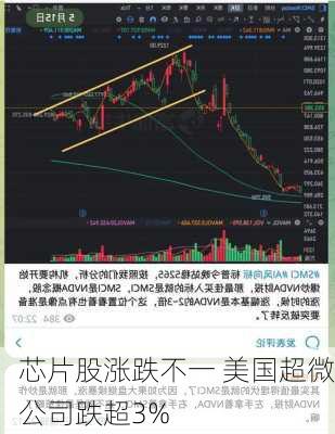 芯片股涨跌不一 美国超微公司跌超3%