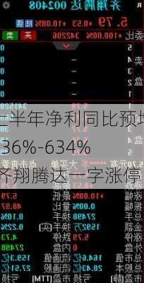 上半年净利同比预增536%-634% 齐翔腾达一字涨停