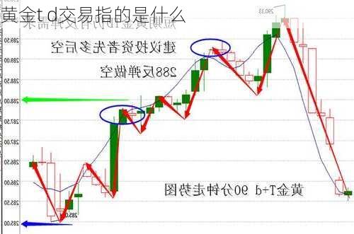 黄金t d交易指的是什么