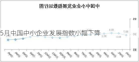 5月中国中小企业发展指数小幅下降