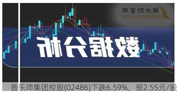 普乐师集团控股(02486)下跌6.59%，报2.55元/股