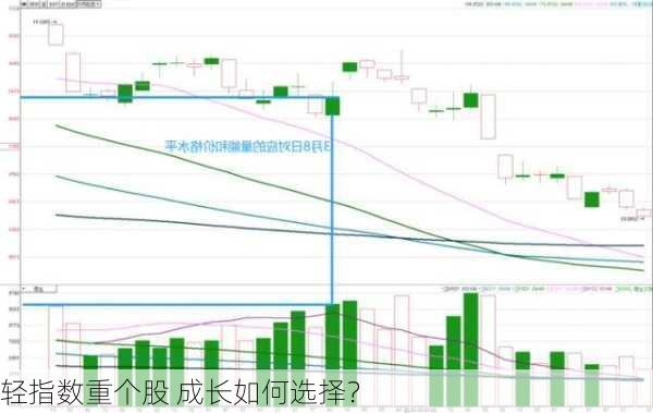 轻指数重个股 成长如何选择？