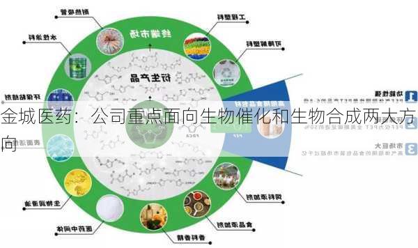 金城医药：公司重点面向生物催化和生物合成两大方向