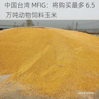 中国台湾 MFIG：将购买最多 6.5 万吨动物饲料玉米