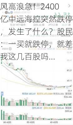 风高浪急！2400亿中远海控突然跌停，发生了什么？股民：一买就跌停，就差我这几百股吗...