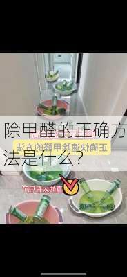 除甲醛的正确方法是什么？