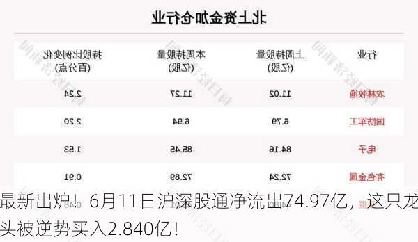 最新出炉！6月11日沪深股通净流出74.97亿，这只龙头被逆势买入2.840亿！