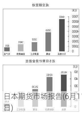 日本期货市场报告(6月11日)