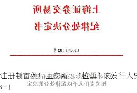 注册制首例！上交所：“拉黑”该发行人5年！