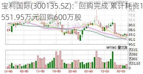 宝利国际(300135.SZ)：回购完成 累计耗资1551.95万元回购600万股