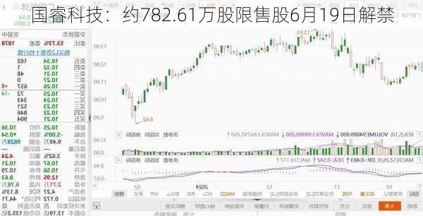 国睿科技：约782.61万股限售股6月19日解禁