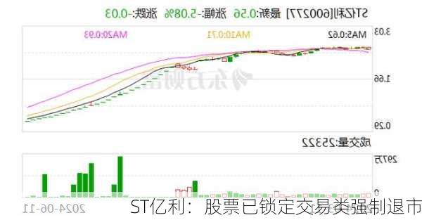 ST亿利：股票已锁定交易类强制退市