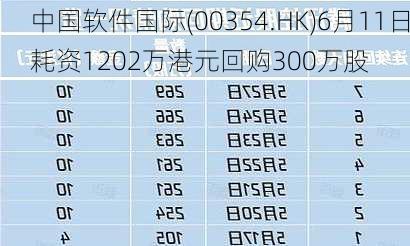 中国软件国际(00354.HK)6月11日耗资1202万港元回购300万股