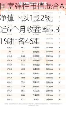 国富弹性市值混合A：净值下跌1.22%，近6个月收益率5.31%排名464