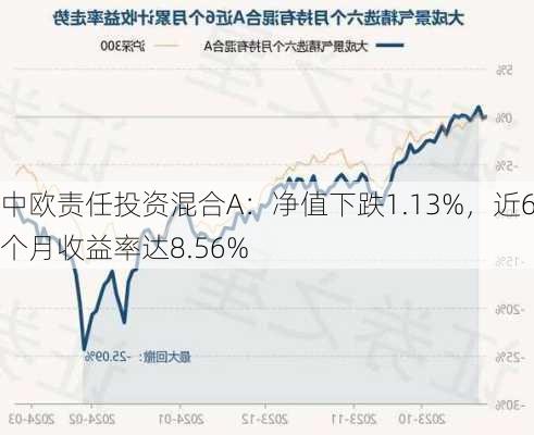 中欧责任投资混合A：净值下跌1.13%，近6个月收益率达8.56%