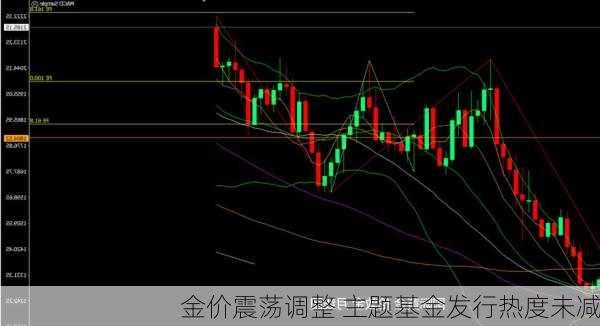 金价震荡调整 主题基金发行热度未减