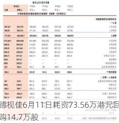 德视佳6月11日耗资73.56万港元回购14.7万股