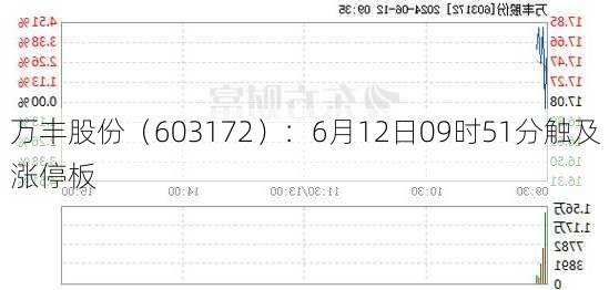 万丰股份（603172）：6月12日09时51分触及涨停板