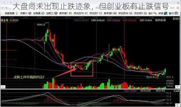 大盘尚未出现止跌迹象，但创业板有止跌信号