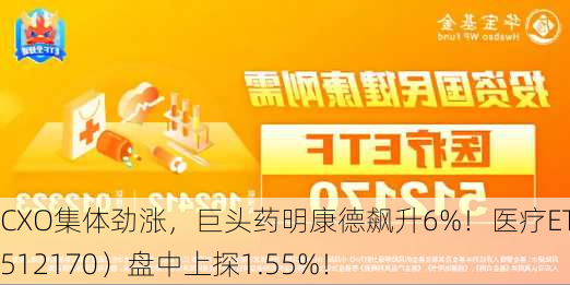 CXO集体劲涨，巨头药明康德飙升6%！医疗ETF（512170）盘中上探1.55%！