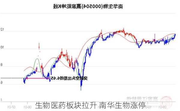 生物医药板块拉升 南华生物涨停