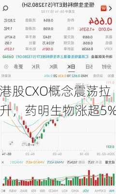 港股CXO概念震荡拉升，药明生物涨超5%