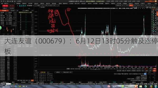 大连友谊（000679）：6月12日13时05分触及涨停板