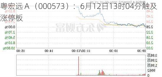 粤宏远Ａ（000573）：6月12日13时04分触及涨停板