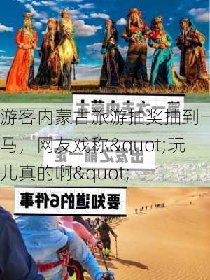 游客内蒙古旅游抽奖抽到一匹马，网友戏称