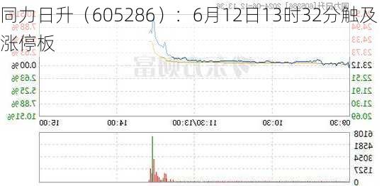 同力日升（605286）：6月12日13时32分触及涨停板