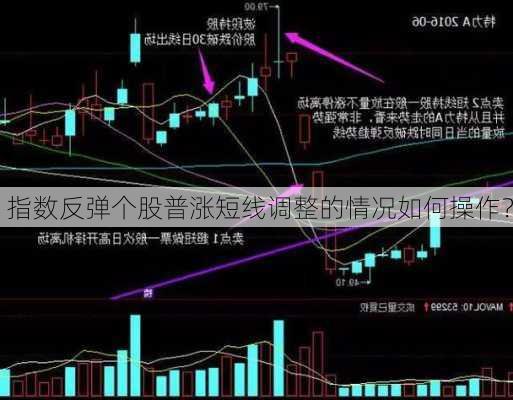 指数反弹个股普涨短线调整的情况如何操作？