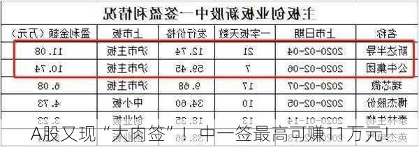 A股又现“大肉签”！中一签最高可赚11万元！