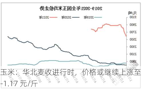 玉米：华北麦收进行时，价格或继续上涨至 1.13-1.17 元/斤